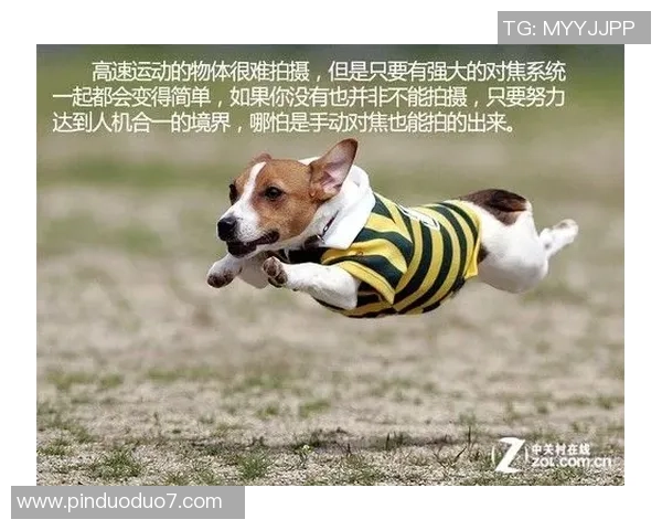 打篮球核心训练健身房提升运动表现的全面指南与训练计划