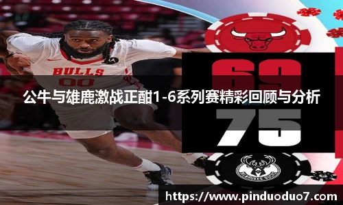 公牛与雄鹿激战正酣1-6系列赛精彩回顾与分析